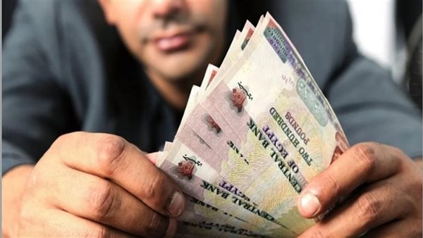 5 أخطاء جوهرية تلتهم أرباح شهادات الادخار في البنوك المصرية وتؤثر على عوائدك
